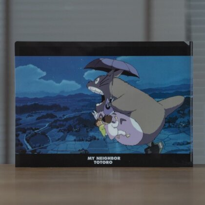 Studio Ghibli My Neighbour Totoro: Walk Of The Night Sky - A4 Size Clear Folder