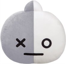 BT21: Van - Cushion 12.5In