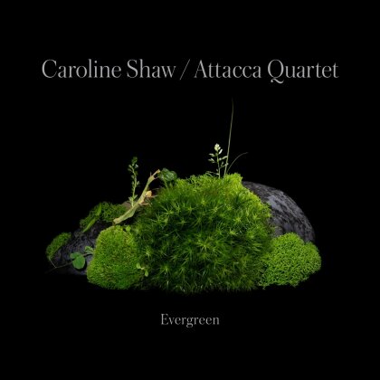 Attacca Quartet & Caroline Shaw (*1982) - Evergreen