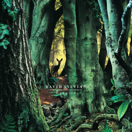 David Sylvian - Manafon (2022 Reissue, 2 LPs)