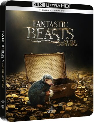 Fantastic Beasts and Where to Find Them (2016) (Limited Edition, Steelbook, 4K Ultra HD + Blu-ray)