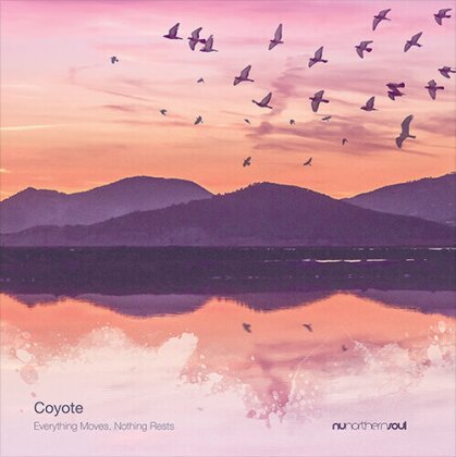 Coyote - Everything Moves Nothing Rests (LP)