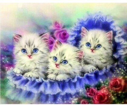 Diamond Painting Cats 40x30 cm