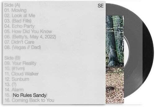 Sylvan Esso - No Rules Sandy (LP)
