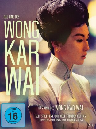 Das Kino des Wong Kar Wai (11 Blu-ray)