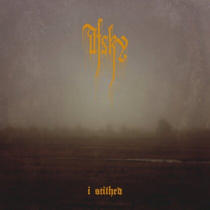Afsky - I Stilhed