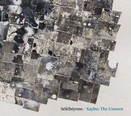 Steve Lehman & Selebeyone - Xaybu: The Unsee
