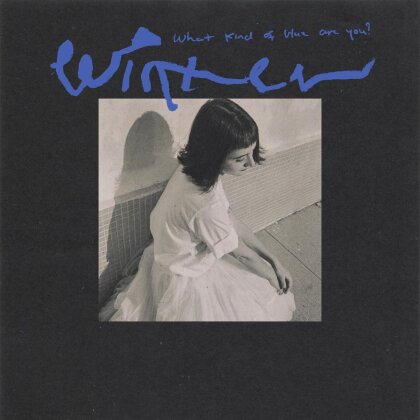 Winter - What Kind Of Blue Are You (LP)