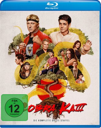 Cobra Kai - Staffel 3 (2 Blu-ray)