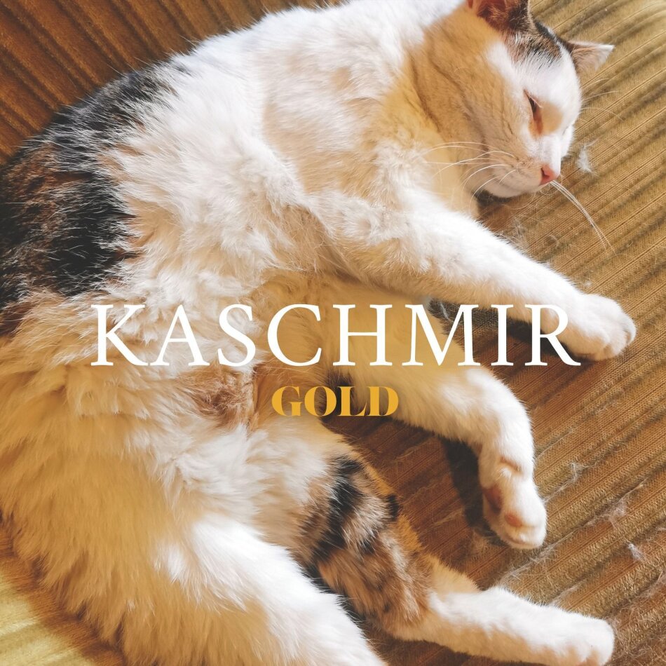 Kaschmir - Gold