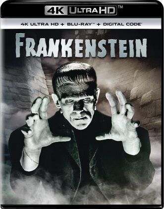 Frankenstein (1931) (b/w, 4K Ultra HD + Blu-ray)