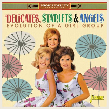 The Angels, Delicates & The Starlets - Evolution Of A Girl Group