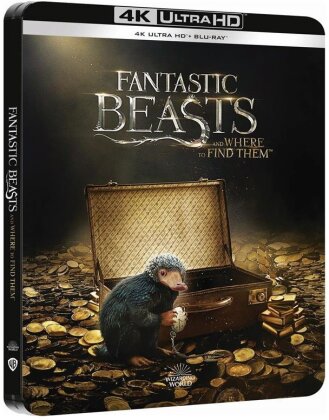 Les animaux fantastiques (2016) (Édition Limitée, Steelbook, 4K Ultra HD + Blu-ray)