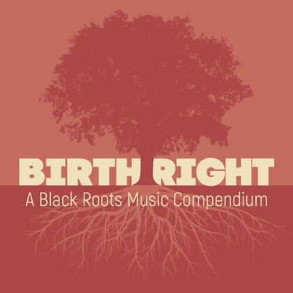 Birthright: A Black Roots Music Compendium (2 CD)
