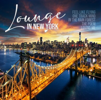 Various - Lounge In New York Vol. 1