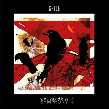 Grice - One ThoUSAnd Birds Symphony