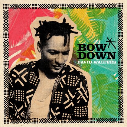 David Walters - Bow Down Ep (Remixes) (12" Maxi)