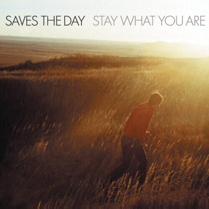 Saves The Day - Stay What You Are (2022 Reissue, Vagrant Records, Limited Edition, Brown Vinyl, 10" Maxi)