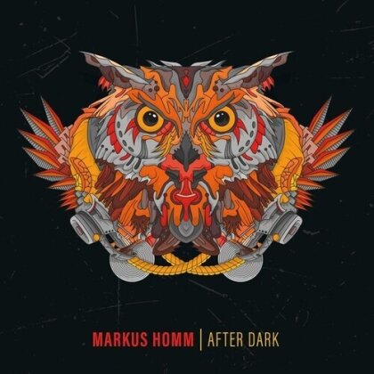 Markus Homm - After Dark (2 LPs)