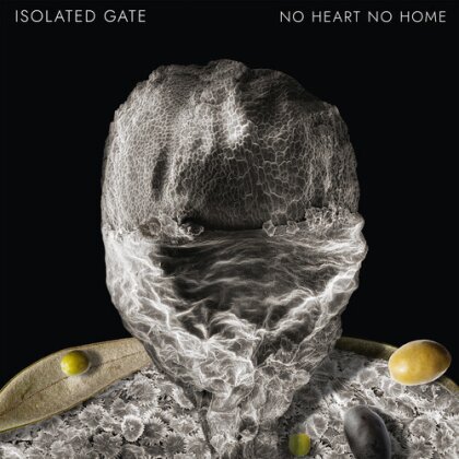 Isolated Gate - No Heart No Home (Limited Edition, 12" Maxi)