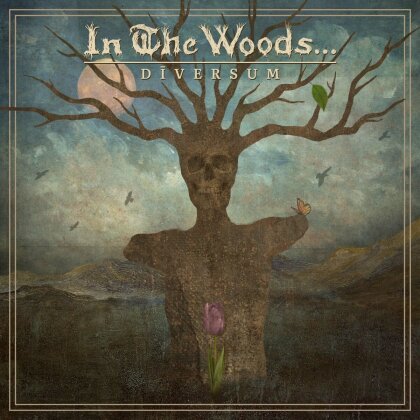 In The Woods - Diversum (Brown/White/Brown Vinyl, LP)