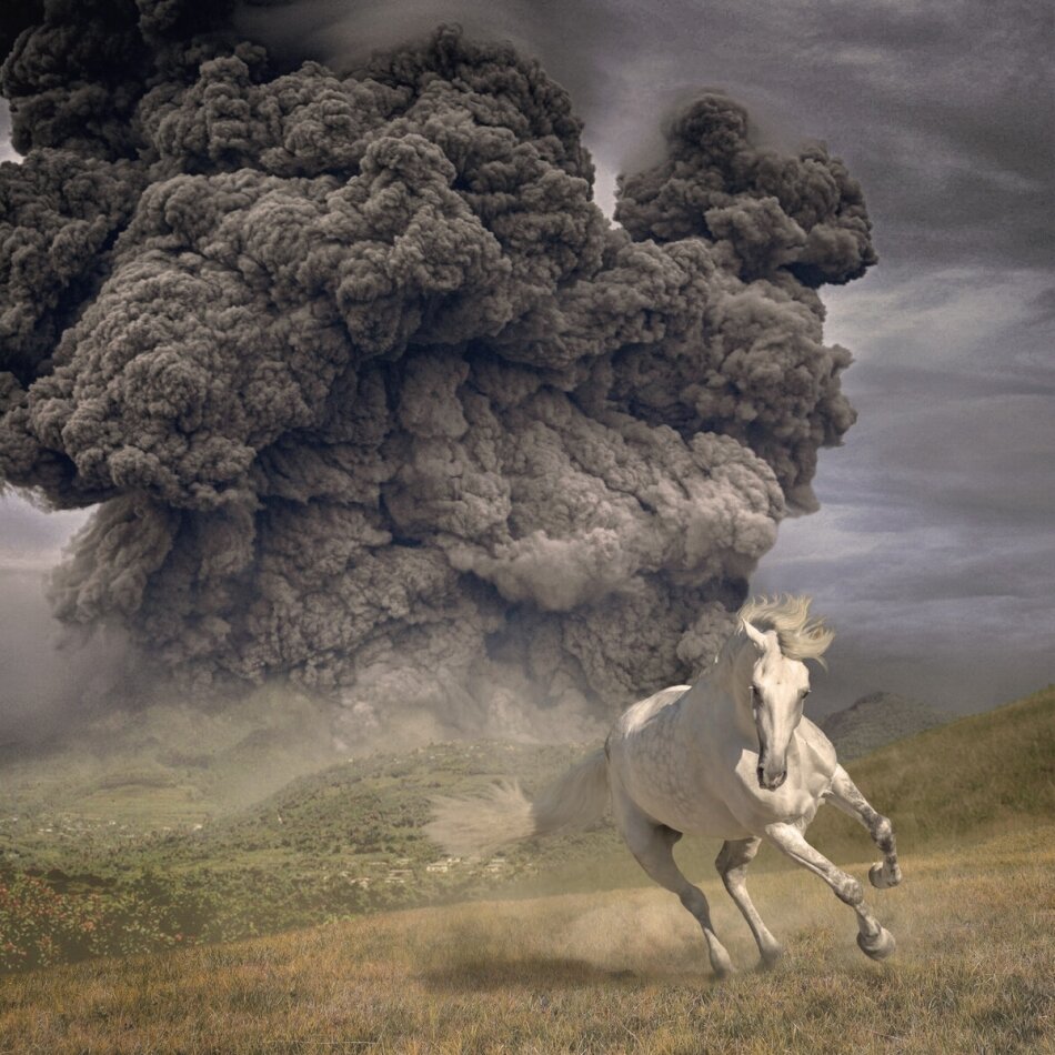 White Buffalo - Year Of The Dark Horse