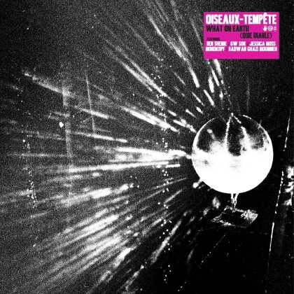 Oiseaux-Tempete - What On Earth (que Diable)