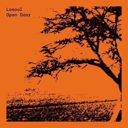 Losoul - Open Door (2022 Reissue, Running Back, LP)
