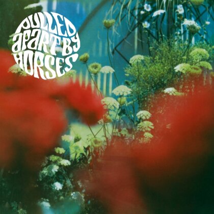 Pulled Apart By Horses - The Haze (2022 Repress, LP)