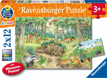 Ravensburger Kinderpuzzle - 05673 Tiere im Wald und auf der Wiese - 2x12 Teile + Wissensposter, Wieso? Weshalb? Warum? Puzzle für Kinder ab 3 Jahren
