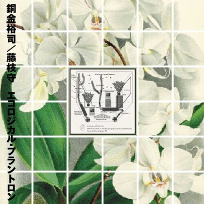 Yuji Dogane & Mamoru Fujieda - Ecological Plantron (2022 Reissue, EM Records, LP)
