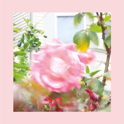 Reds Pinks And Purples - Summer At Land's End (Black Vinyl, LP)