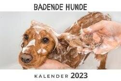 Badende Hunde