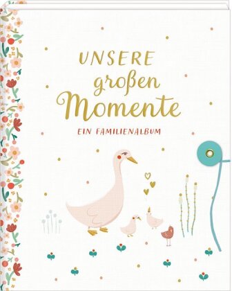Unsere grossen Momente - Ein Familienbuch - Eintragbuch
