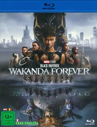 Black Panther: Wakanda Forever - Black Panther 2 (2022)