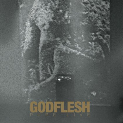 Godflesh - Pure Live