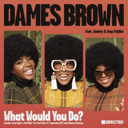 Dames Brown & Amp Fiddler - What Would You Do? (12" Maxi)