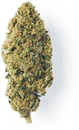 Green Passion Maui Wowy (5g) - Outdoor (CBD: bis 14%, THC: <1%)