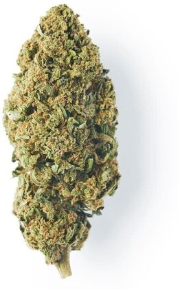 Green Passion Maui Wowy (10g) - Outdoor (CBD: bis 14%, THC: <1%)