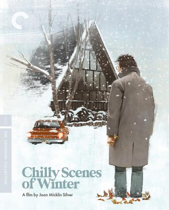 Chilly Scenes Of Winter (1979) (Criterion Collection)