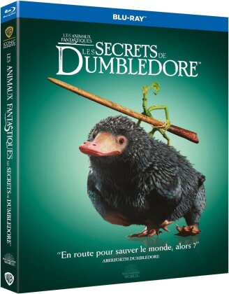 Les animaux fantastiques 3 - Les secrets de Dumbledore (2022) (Iconic Moments Collection)