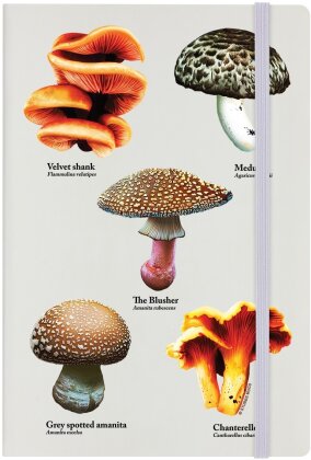 A Sproutness Of Mushrooms - Cream A5 Hard Cover Notebook