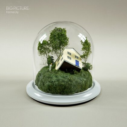 Lily Fenne - Big Picture (LP)