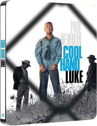 Cool Hand Luke - Luke, la main froide (1967) (Édition Limitée, Steelbook, 4K Ultra HD + Blu-ray)