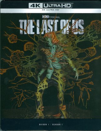 The Last of Us - Saison 1 (Limited Edition, Steelbook, 4 4K Ultra HDs)