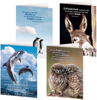 4er-Set Grußkarten »Tierische Weisheiten«