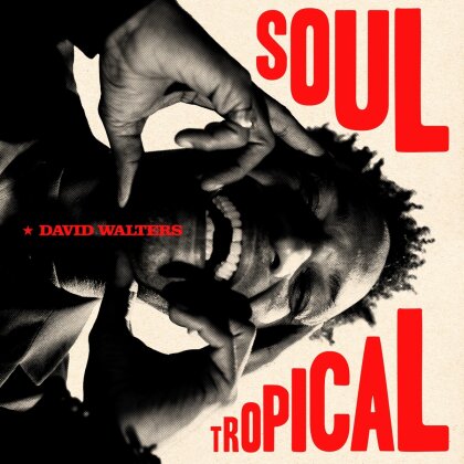 David Walters - Soul Tropical (Gatefold, 2 LPs)