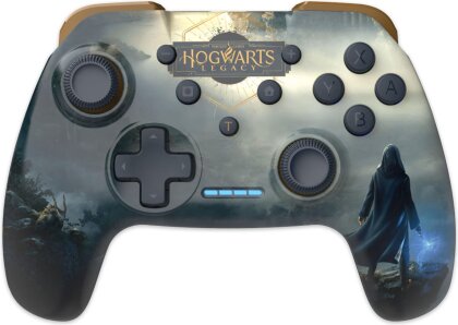 Switch Controller - Paysage - Hogwarts Legacy