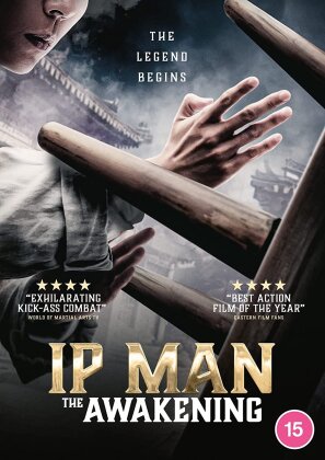 Ip Man: The Awakening (2021)