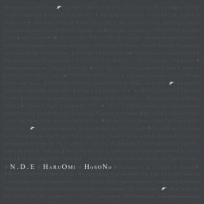 Haruomi Hosono - N.D.E. (2023 Reissue, 2 LPs)